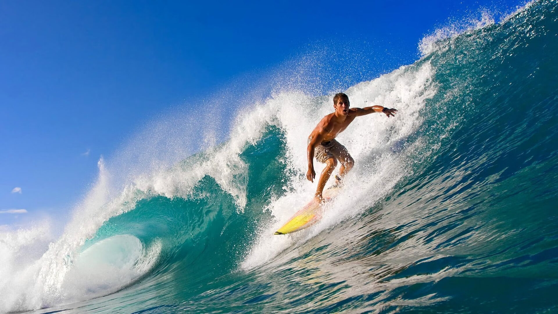 史上最具争议的欧冠判罚盘点，欧冠足球裁判