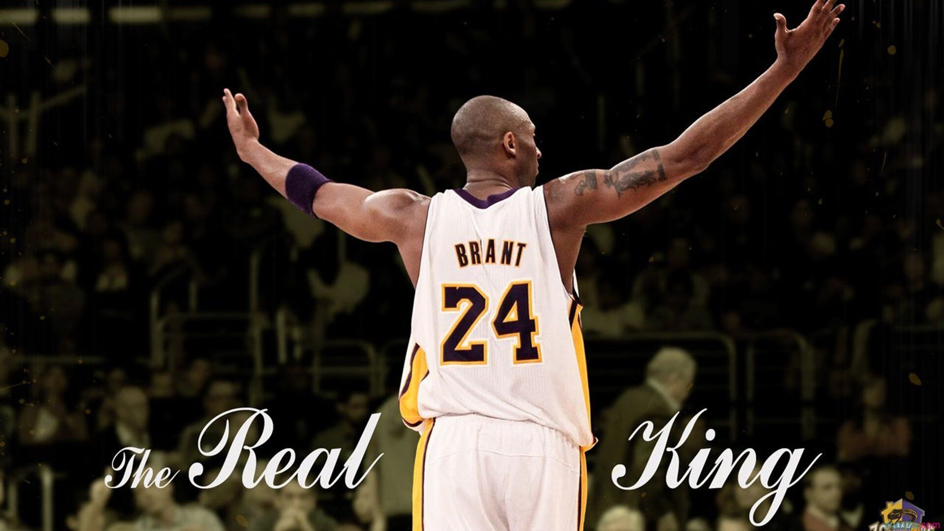 青训专家巡讲全国各地，推广科学训练理念和方法